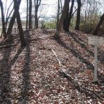 美里町塚本山93_94_95_96_97_98号墳