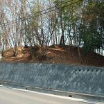 熊谷市上原古墳群2号墳