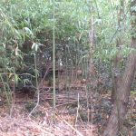 熊谷市上前原古墳群2号墳