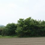 神川町城戸野支群5_8号墳