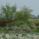 神川町城戸野支群21_22_24号墳