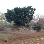 熊谷市瀞簡院古墳群2号墳