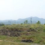 神川町十二ヶ谷戸支群2_12_13_16号墳