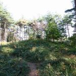 滑川町ゴエモン塚１号墳（ゴエモン塚古墳）