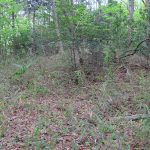 吉見町羽黒古墳