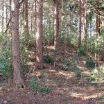 嵐山町石堂古墳群1_2_3_4号墳