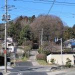 熊谷市甲山古墳