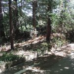 嵐山町古里古墳群上土橋支群1_2_3_4号墳