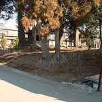 嵐山町古里古墳群駒込6_8_9_10号墳