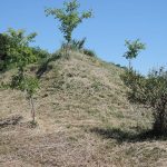 嵐山町古里古墳群駒込13_22_26号墳