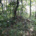 滑川町西山古墳群1_3_5号墳