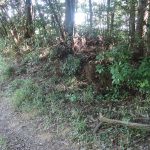 熊谷市西古墳群1_2_3号墳