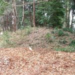 嵐山町寺山古墳群1号墳