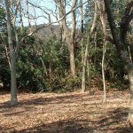 嵐山町山王古墳群1_2_3_4号墳