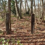 嵐山町山王古墳群5_6_7_8号墳