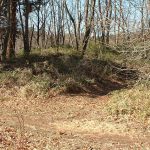 嵐山町山王古墳群13_14号墳