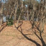 嵐山町古里古墳群清水1_2_3号墳