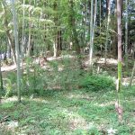 熊谷市立野古墳群3_4_5_6号墳