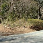 嵐山町峠の平古墳群1_2号墳