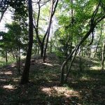 滑川町後谷古墳群7_8_9_10号墳