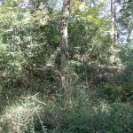 吉見町山の根古墳（山の上1号墳）