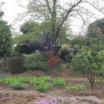 吉見町稲荷塚古墳