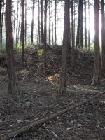 栃木市赤坂古墳群1_2号墳