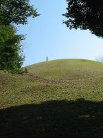 足利市足利公園古墳群2_7_8_9号墳