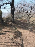 足利市足利公園古墳群3号墳