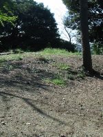 足利市足利公園古墳群10_11_12号墳