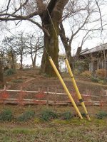 足利市丸山古墳