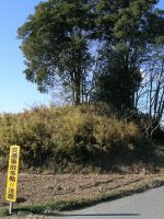 小山市毘沙門山古墳