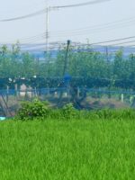 佐野市道場稲荷古墳