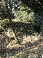 野木町外記古墳