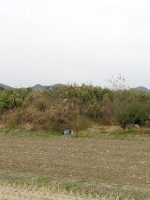 佐野市五箇古墳群4_5号墳