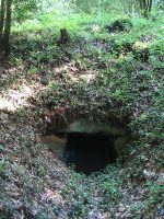 足利市羽黒古墳