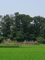 栃木市伯仲古墳（長山古墳）