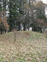 佐野市蓮沼古墳群7_9_14号墳