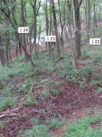 足利市機神山古墳群22_23号墳