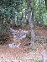 足利市機神山古墳群24号墳