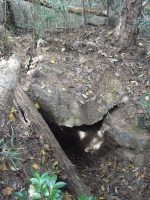 足利市八椚古墳群9号墳