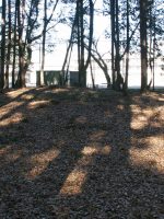 小山市八幡古墳群２