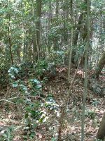 鳩山町鳩山No.138遺跡