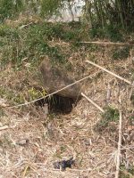 足利市平石古墳群1号墳