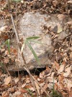 足利市平石古墳群3号墳