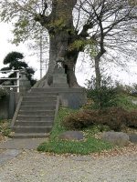 佐野市堀之内古墳