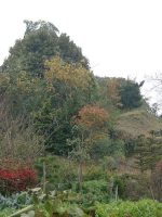 足利市淵ノ上古墳（矢場川村39号墳）