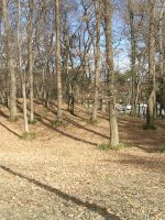 栃木市寺林古墳（藤井64号墳）