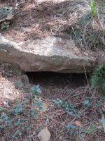 足利市磯入古墳群10号墳