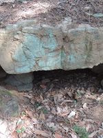 足利市磯入古墳群31号墳